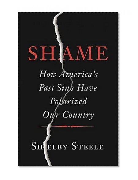 Book Cover Shame: How America’s Past Sins Have Polarized Our Country