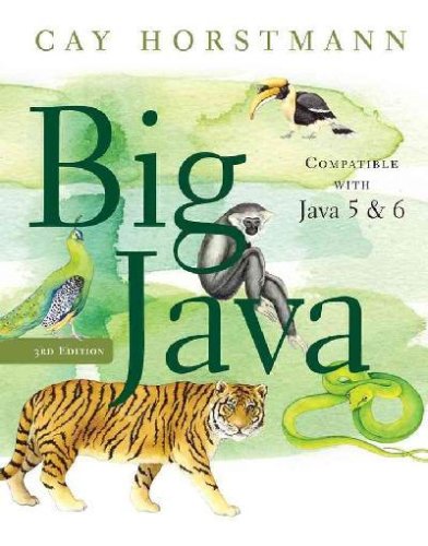 Big Java: For Java 5 and 6