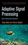 Adaptive Signal Processing: Next Generation Solutions