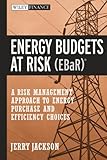 Energy Budgets at Risk (EBaR): A Risk Management Approach to Energy Purchase and Efficiency Choices