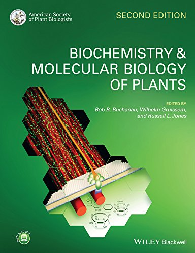 Book Cover Biochemistry and Molecular Biology of Plants