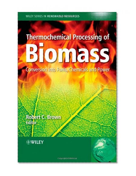 Thermochemical Processing of Biomass: Conversion into Fuels, Chemicals and Power