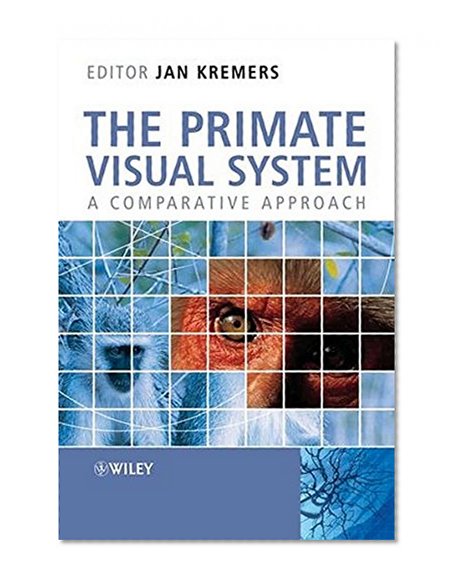 The Primate Visual System: A Comparative Approach