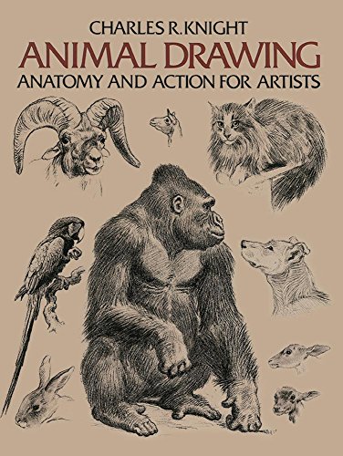 Book Cover Animal Drawing: Anatomy and Action for Artists