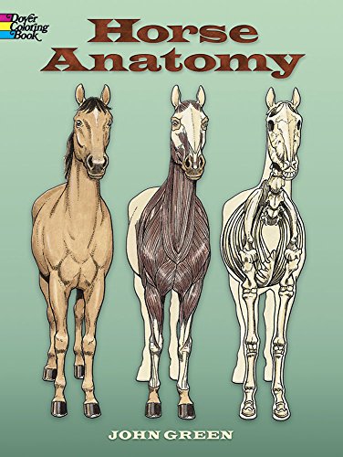 Book Cover Horse Anatomy Coloring Book (Dover Science For Kids Coloring Books)
