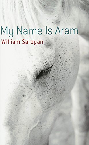 Book Cover My Name Is Aram