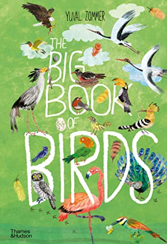 Book Cover The Big Book of Birds (The Big Book Series)