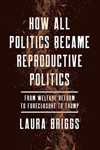 Book Cover How All Politics Became Reproductive Politics: From Welfare Reform to Foreclosure to Trump (Volume 2) (Reproductive Justice: A New Vision for the 21st Century)