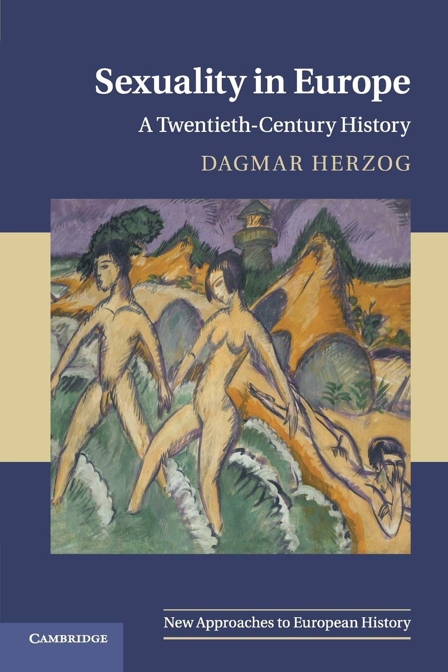 Book Cover Sexuality in Europe: A Twentieth-Century History (New Approaches to European History, Series Number 45)