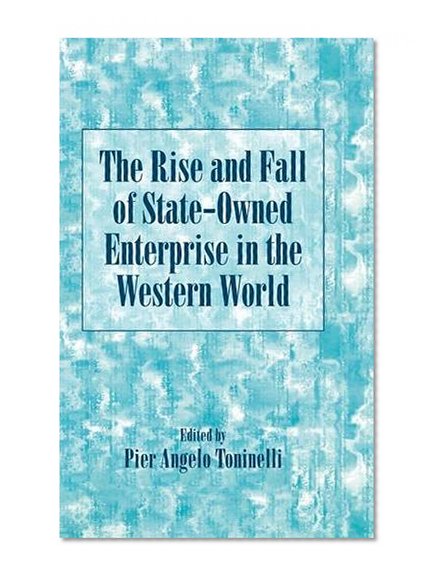 Book Cover The Rise and Fall of State-Owned Enterprise in the Western World (Comparative Perspectives in Business History)