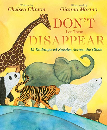 Book Cover Don't Let Them Disappear