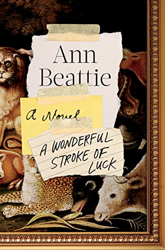 Book Cover A Wonderful Stroke of Luck: A Novel