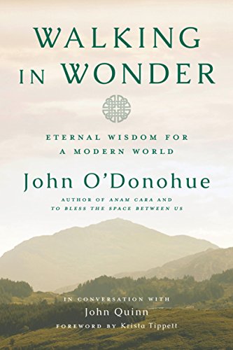 Book Cover Walking in Wonder: Eternal Wisdom for a Modern World