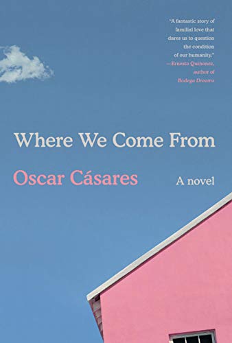 Book Cover Where We Come From: A novel