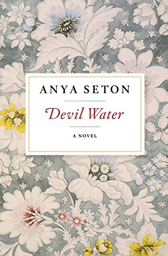 Book Cover Devil Water: A Novel
