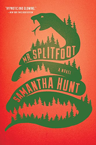Book Cover Mr. Splitfoot
