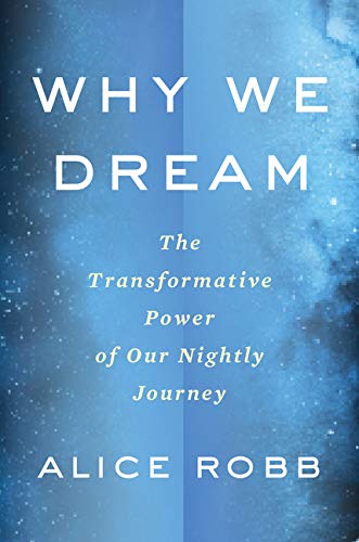 Book Cover Why We Dream: The Transformative Power of Our Nightly Journey