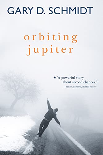 Book Cover Orbiting Jupiter