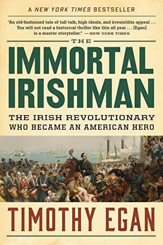 Book Cover The Immortal Irishman: The Irish Revolutionary Who Became an American Hero