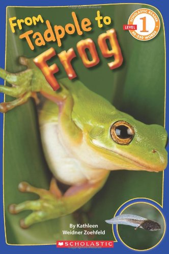 Book Cover From Tadpole to Frog (Scholastic Reader, Level 1)