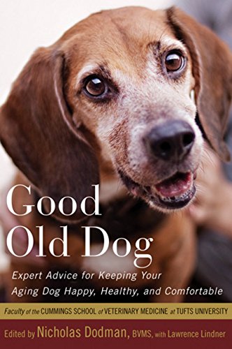 Good Old Dog: Expert Advice for Keeping Your Aging Dog Happy, Healthy, and Comfortable