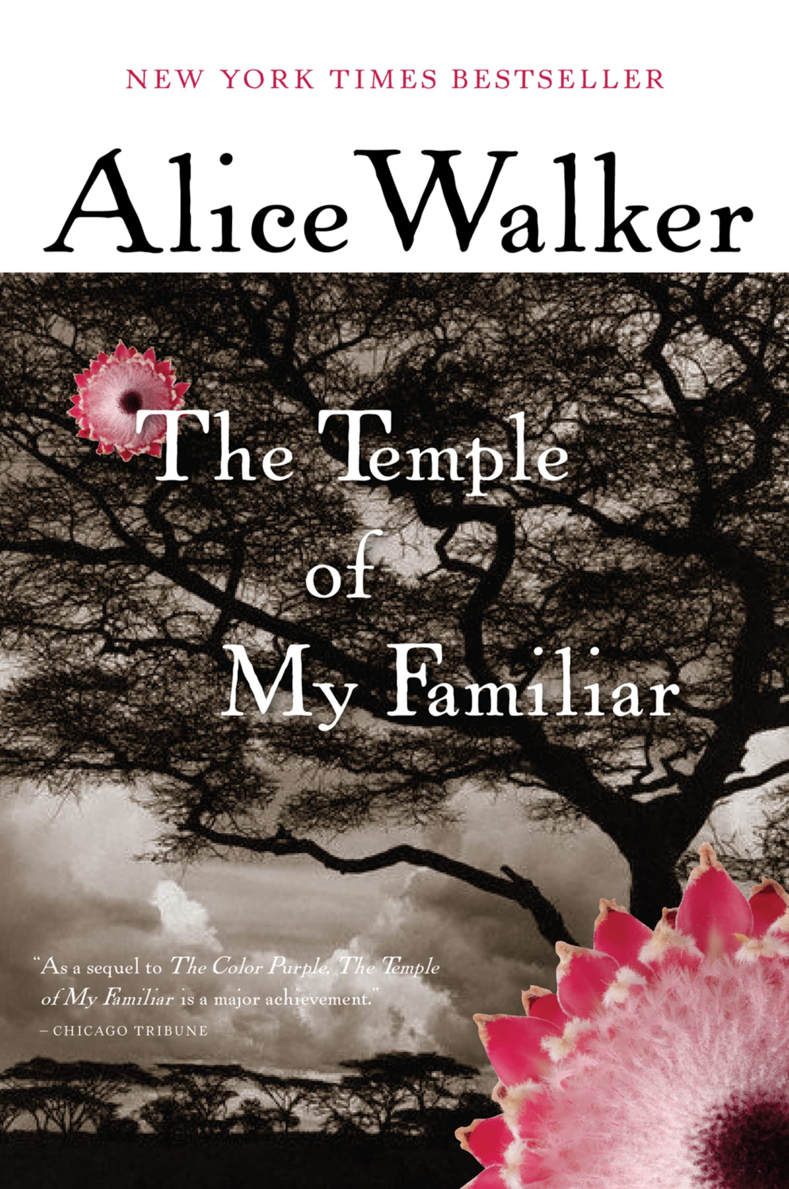 Book Cover The Temple Of My Familiar