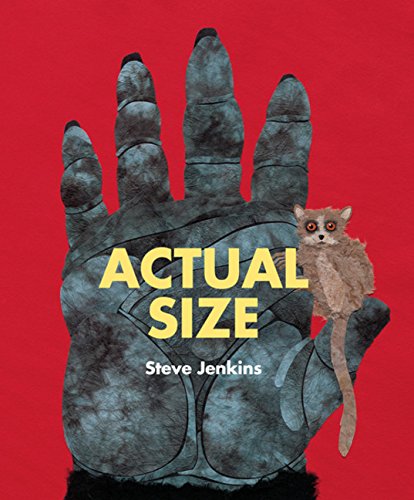 Book Cover Actual Size