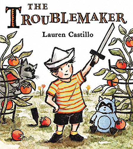 Book Cover The Troublemaker