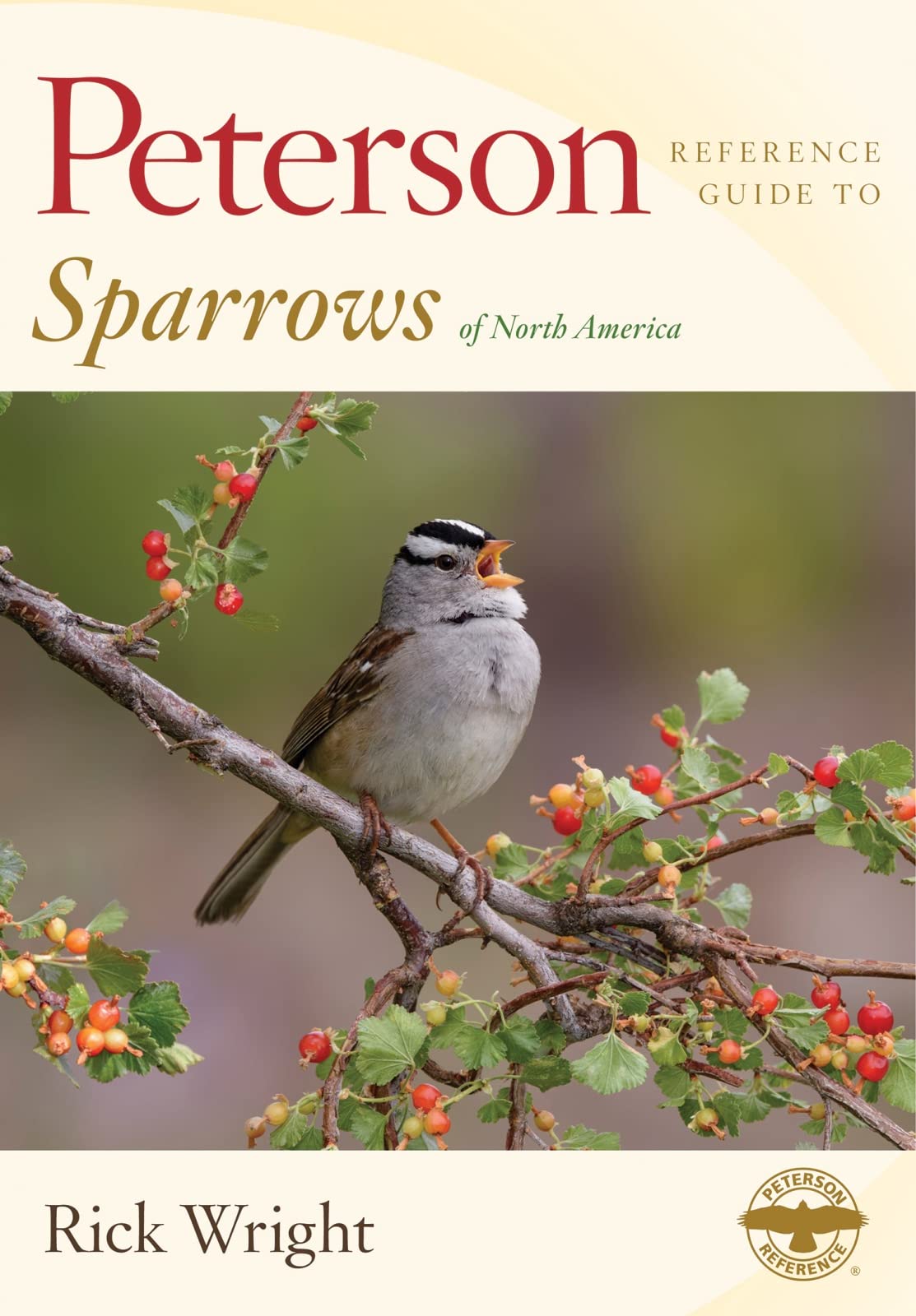 Book Cover Peterson Reference Guide To Sparrows Of North America (Peterson Reference Guides)