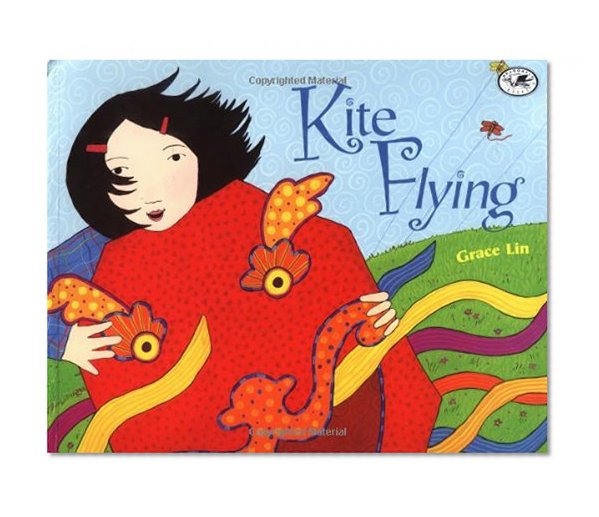 Book Cover Kite Flying