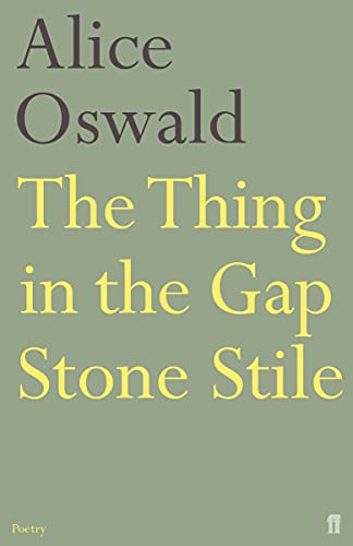 Book Cover The Thing in the Gap Stone Stile