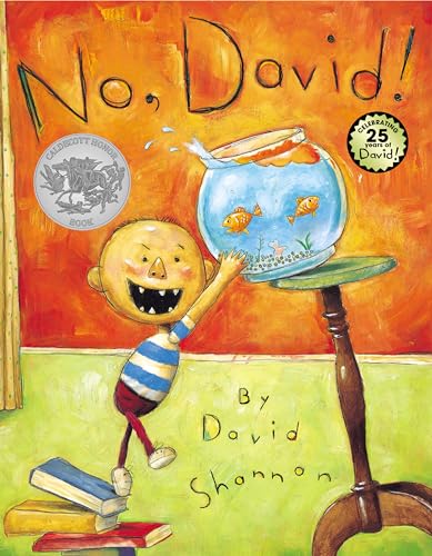 Book Cover No, David!