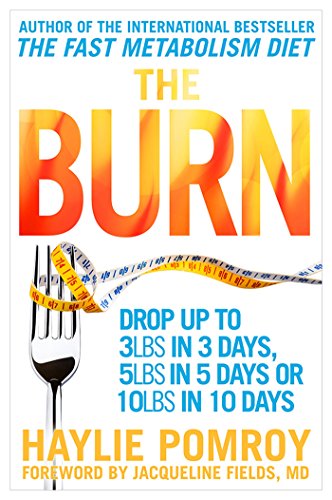 Book Cover The Burn