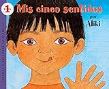 Mis Cinco Sentidos (My Five Senses): My Five Senses (Spanish edition)