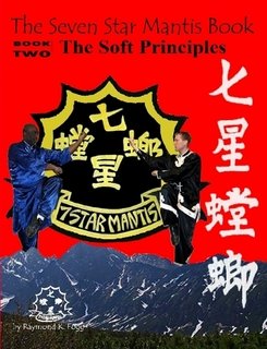 The Seven Star Mantis Book: Soft Principles