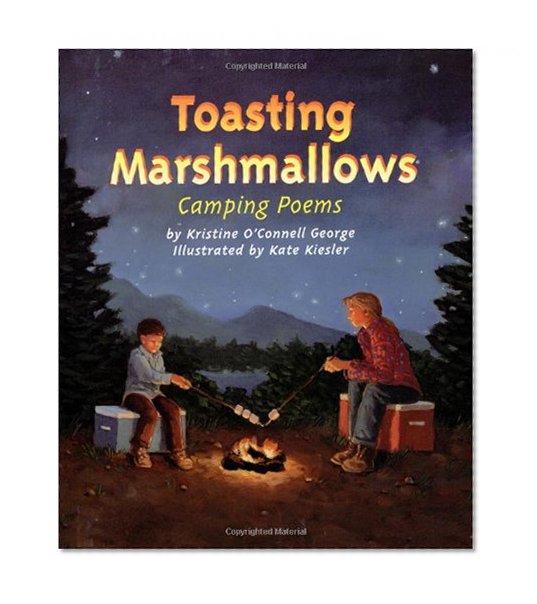 Book Cover Toasting Marshmallows: Camping Poems