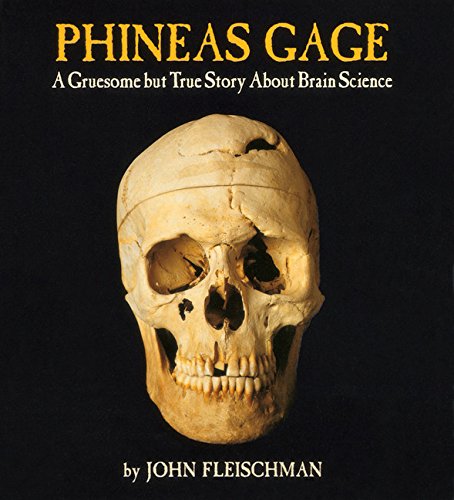Book Cover Phineas Gage: A Gruesome but True Story About Brain Science