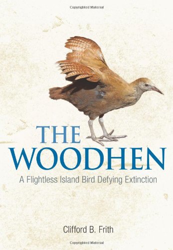 The Woodhen: A Flightless Island Bird Defying Extinction