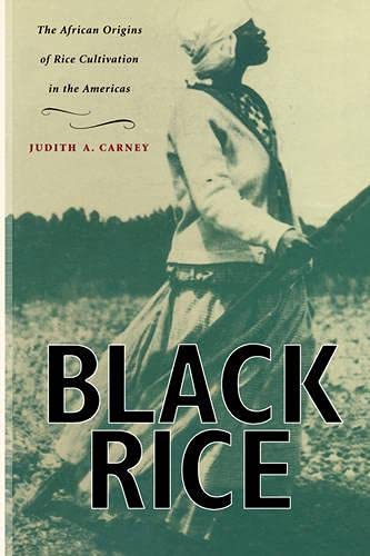 Book Cover Black Rice: The African Origins of Rice Cultivation in the Americas