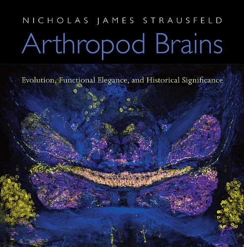 Arthropod Brains: Evolution, Functional Elegance, and Historical Significance