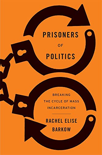 Book Cover Prisoners of Politics: Breaking the Cycle of Mass Incarceration