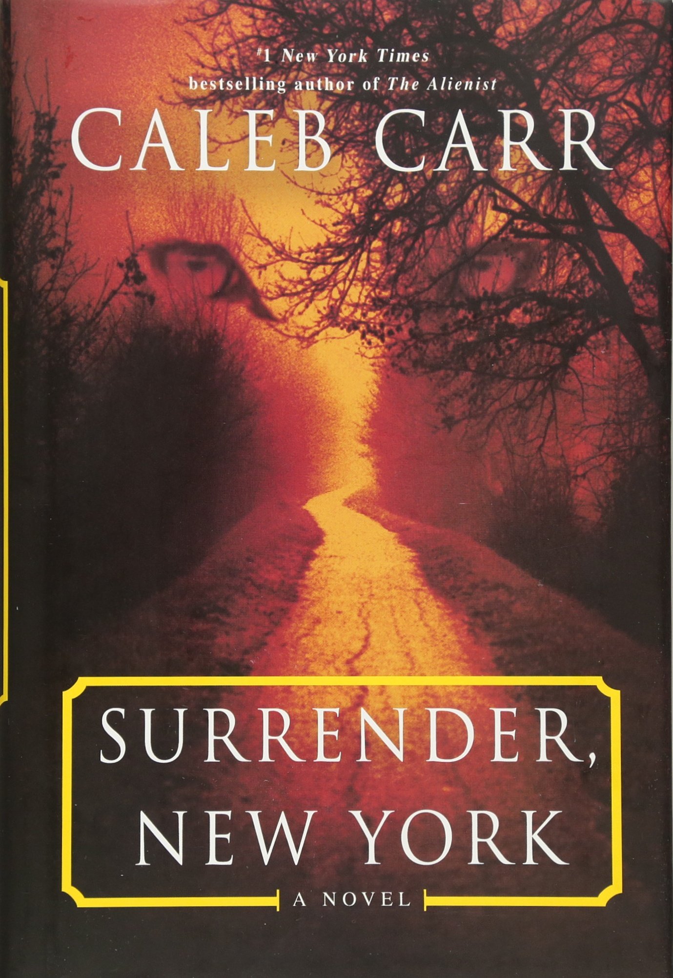 Book Cover Surrender, New York: A Novel