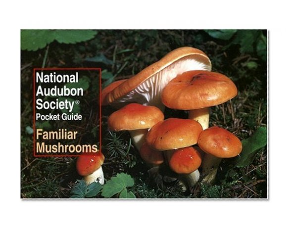 Book Cover National Audubon Society Pocket Guide to Familiar Mushrooms