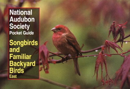 Book Cover NAS Pocket Guide to Songbirds and Familiar Backyard Birds: Eastern Region (National Audubon Society Pocket Guides)