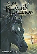 Book Cover Son of the Black Stallion
