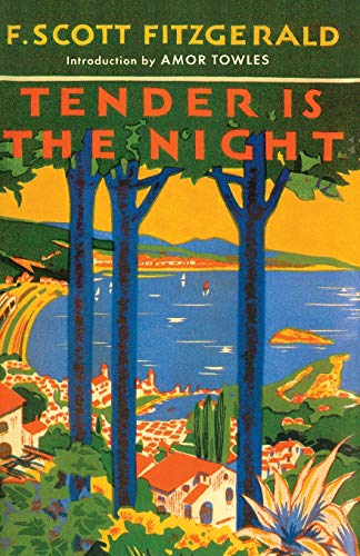 Book Cover Tender Is the Night (Cover May Vary)