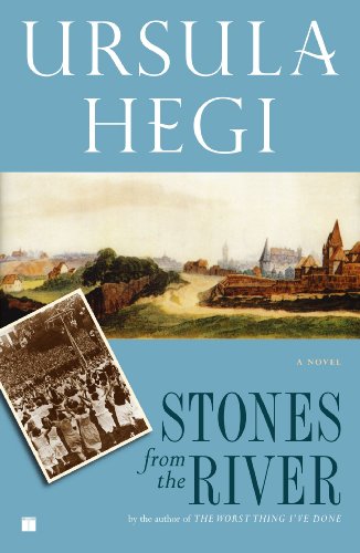 Book Cover Stones from the River