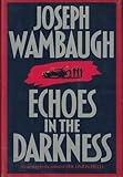 Echoes in the Darkness