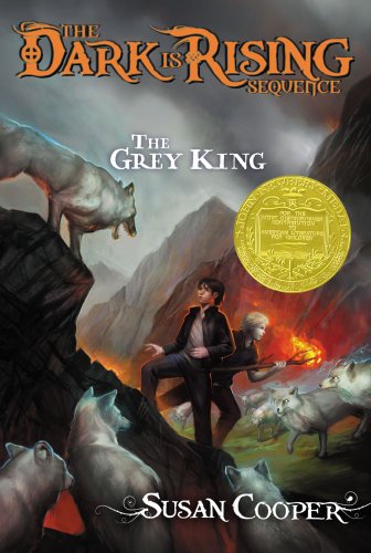 Book Cover The Grey King (The Dark is Rising Sequence)