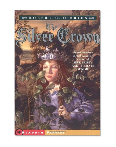 Book Cover The Silver Crown (Aladdin Fantasy)